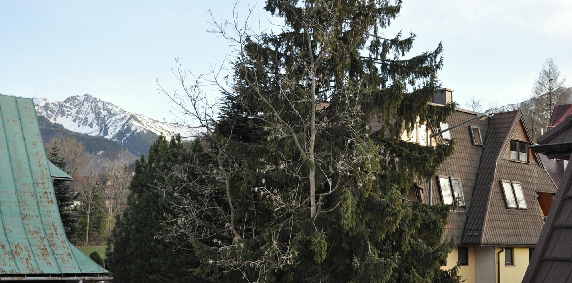 Apartamento Kozincówka Zakopane