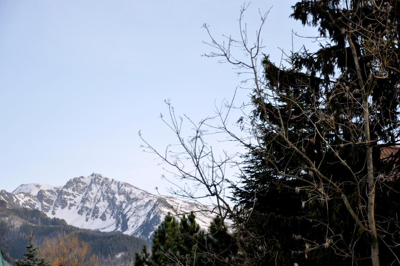 Kozincowka Apartment Zakopane